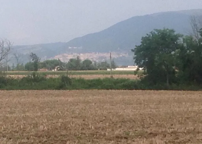 Pensjonat Fattoria Casa Mia Brufa